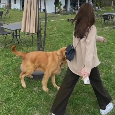 与神同行的少年